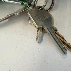 Giltzak, gisa salatu by GVB iLost erabiliz