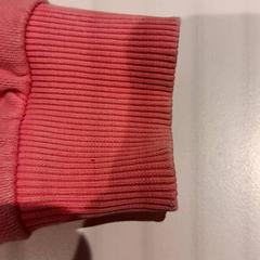 Trui, zoals gemeld door De Efteling met iLost