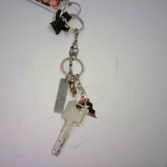 Schlüssel, gemeldet von Bobbejaanland über iLost