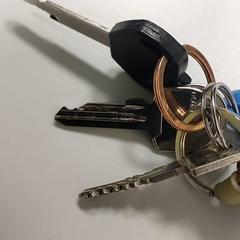 المفاتيح، كما تم الإبلاغ عنه بواسطة Centraal magazijn عبر iLost