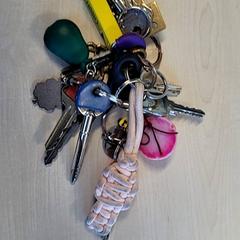Keychain, as reported by Connexxion Haarlem IJmond using iLost