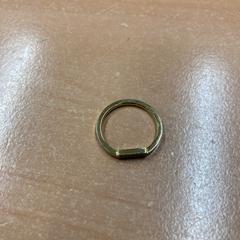 Ring がiLostで Pathé Eindhoven によって報告されました