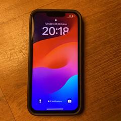 iPhone green., come riportato a iLost