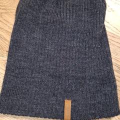 Beanie, som rapportert av Qbuzz DMG ved bruk av iLost