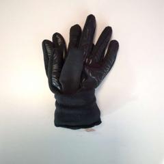 Paire de gants, segundo informou Twisto usando iLost