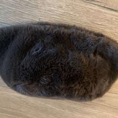 Chapeau Brown, a été signalé par Vienna House Easy by Wyndham Amsterdam Airport utilisant iLost