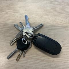 Sleutels, zoals gemeld door Gemeente Arnhem met iLost
