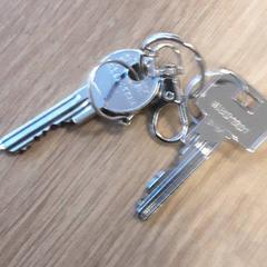 Clau Staal, segons ha informat LUMC mitjançant iLost