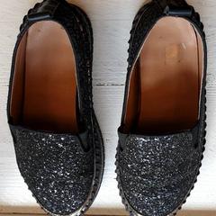 Schoenen Glitter, zoals gemeld door DierenPark Amersfoort met iLost