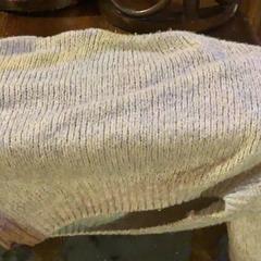 Sweater Grijs, as reported by Café Leentje using iLost