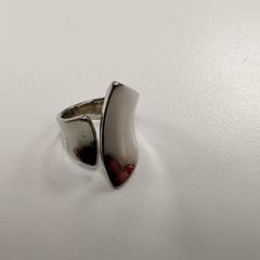 Smycken - Ring, rapporterat av Centraal magazijn med iLost