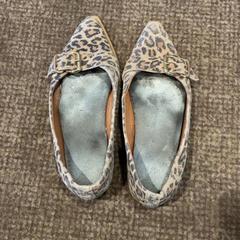 Cipő, amint azt Van der Valk Hotel Apeldoorn - De Cantharel az iLost segítségével jelentette.