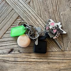 Sleutelbos met groen label, jak bylo nahlášeno na iLost