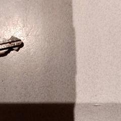 Claus, segons ha informat De Efteling mitjançant iLost