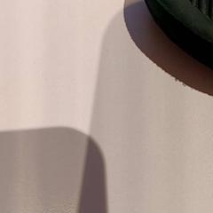 Sabata, segons ha informat De Efteling mitjançant iLost