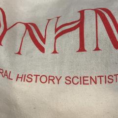 Bolso de mano, ha sido reportado por IKEA福岡新宮 con iLost