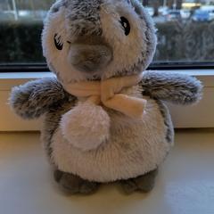 Knuffeltje がiLostに報告されました