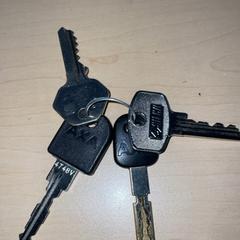 Fietssleutels, zoals gemeld door Jaarbeurs met iLost