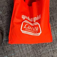 Sac, a été signalé par Breng Nijmegen utilisant iLost