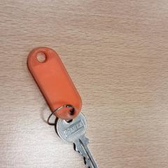 Chiave oranje hoesje, come riportato da Arriva Vechtdallijnen utilizzando iLost