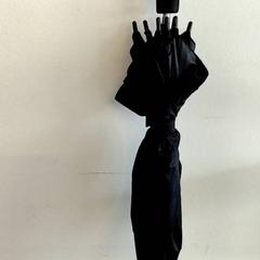 Paraguas, ha sido reportado por Ziekenhuis Oost-Limburg con iLost