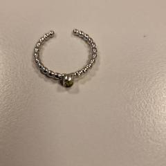 Anel, segundo informou Vrije Universiteit Amsterdam usando iLost