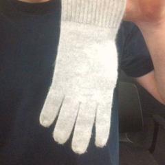 Gloves, as reported by MEININGER Hotel Vienna Downtown Franz using iLost