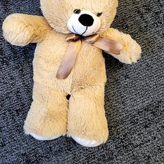 Teddybeer, segons ha informat Connexxion Haarlem IJmond mitjançant iLost