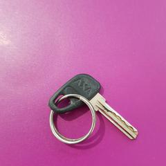 Fietssleutel, rapporterat av Gemeente Oost Gelre med iLost