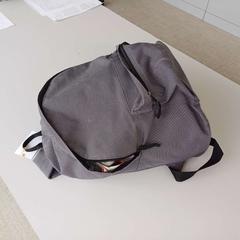 バッグ grijs がiLostで Regio West-Vlaanderen によって報告されました