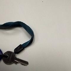 Klíč, jak nahlášeno ilévia pomocí iLost