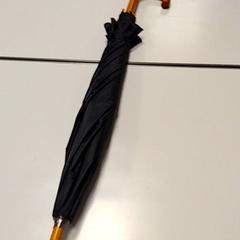 Umbrella, as reported by Vrije Universiteit Amsterdam using iLost