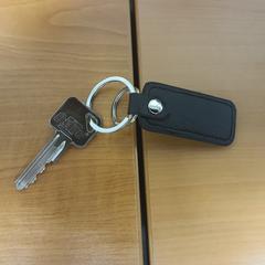 Sleutel, a été signalé par Transdev Hoeksche Waard Goeree Overflakkee utilisant iLost