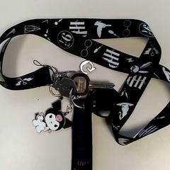 Nøkler, som rapportert av Bobbejaanland ved bruk av iLost