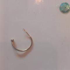 Oorbel goudkleurig an iLost gemeldet