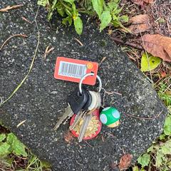 sleutelbos met AH bonuskaart, jak bylo nahlášeno na iLost