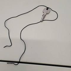 열쇠, iLost를 사용하여 Transdev Gooi en Vechtstreek에 보고됨