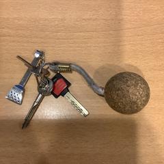 Sleutels, zoals gemeld door Gemeente Amsterdam met iLost