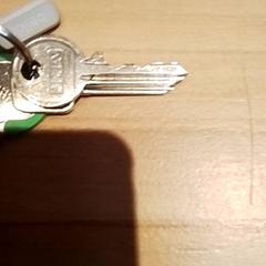 Portachiavi, come riportato da Beekse Bergen Resorts en Hotel utilizzando iLost