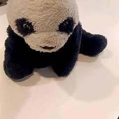 Peluxea, gisa salatu by RAI Amsterdam iLost erabiliz