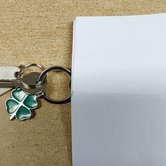 Giltzak, gisa salatu by Centraal magazijn iLost erabiliz