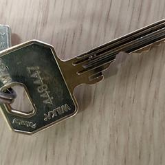 열쇠, iLost를 사용하여 Regio Antwerpen - Brussel에 보고됨