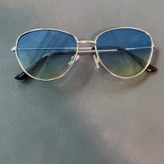 Sunglasses Groen met blauw, as reported by Burgers' Zoo using iLost