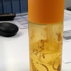 Fľaša, ako bolo nahlásené IKEA Gent pomocou iLost