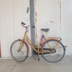 Damesfiets  Batavus, som rapportert av Stadswerk072 ved bruk av iLost