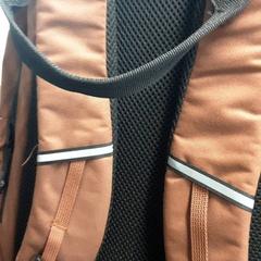 Rugtas Bruin, jak nahlášeno Arriva Friesland / Groningen pomocí iLost