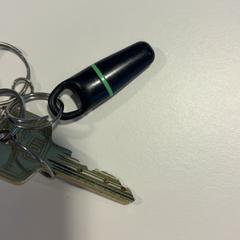 Llavero, ha sido reportado por Gemeente Veenendaal con iLost