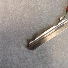 المفاتيح (متنوعة) rood en zilver، كما تم الإبلاغ عنه بواسطة Arriva Friesland / Groningen عبر iLost