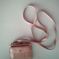 Bolsa de embrague, segundo informou Twisto usando iLost