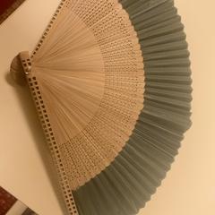 Waaier, jak nahlášeno Pathé Schiedam pomocí iLost